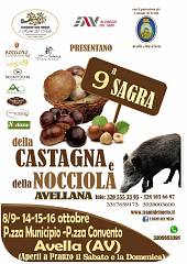 Nona edizione sagra della castagna e della nocciola avellana